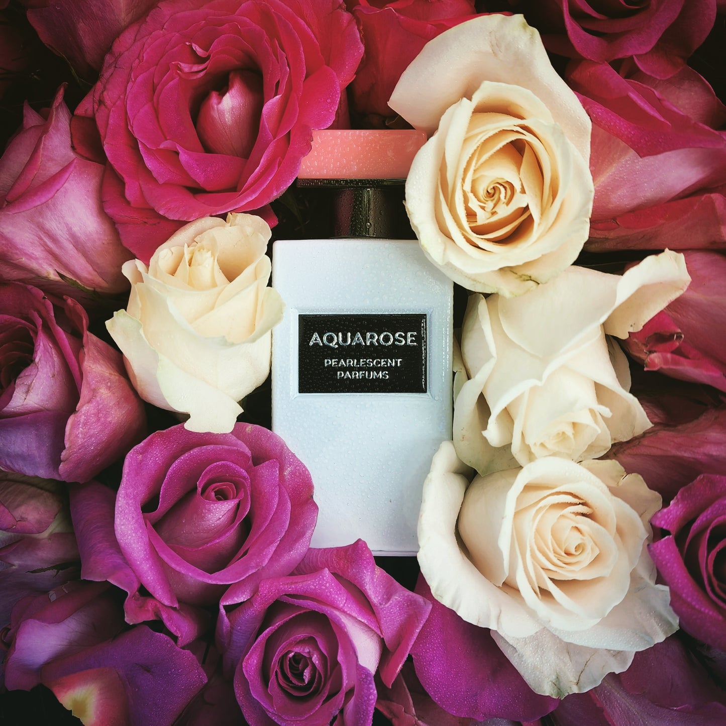 Aquarose - Rose, Sea Spray, White Ambergris, Driftwood