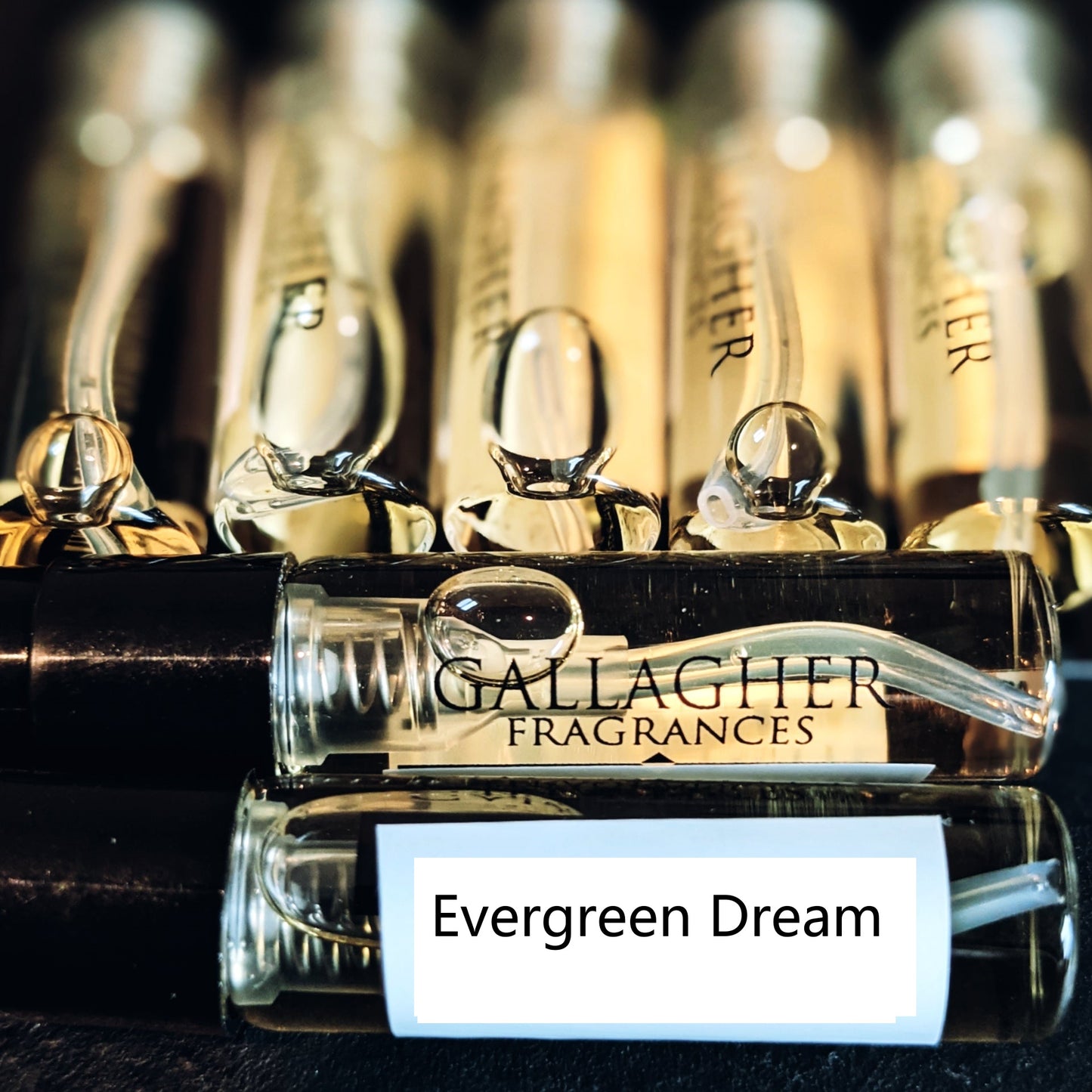 Evergreen Dream- Limited Edition